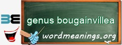 WordMeaning blackboard for genus bougainvillea